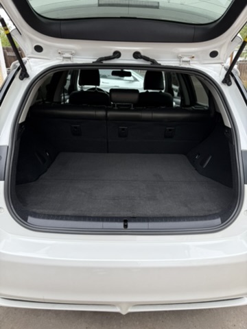 Finished trunk after full detail